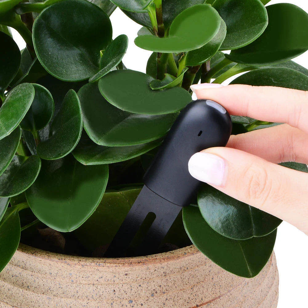 HHCC Flower Care Monitor Flora Garden Plant Grass Soil Water Fertility Smart Tester Flower Gardening Detector For Mihome App