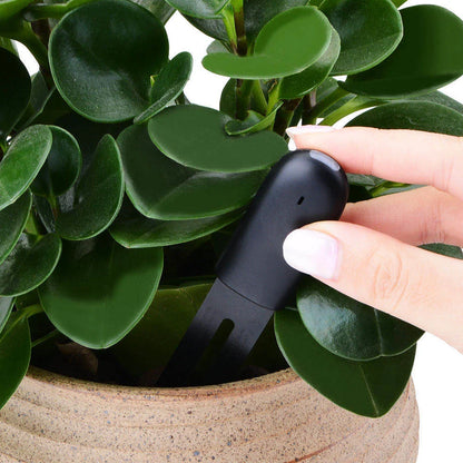 HHCC Flower Care Monitor Flora Garden Plant Grass Soil Water Fertility Smart Tester Flower Gardening Detector For Mihome App